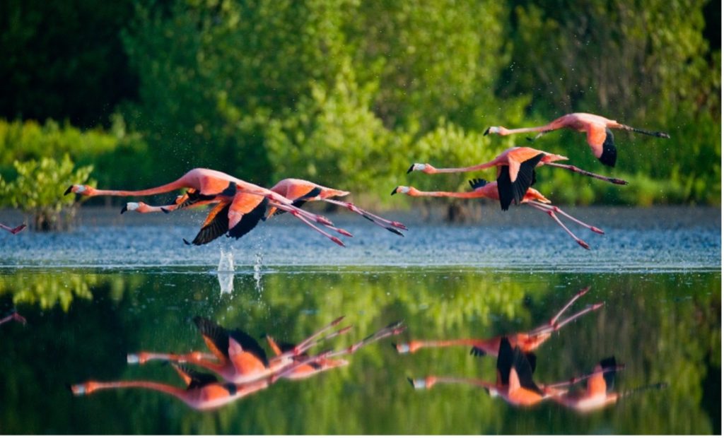 National Parks in Cuba