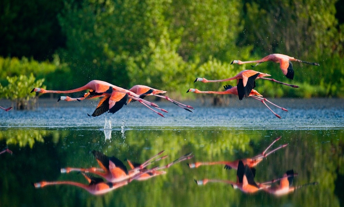Biosphere Reserves