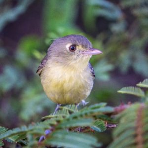 best place for birding