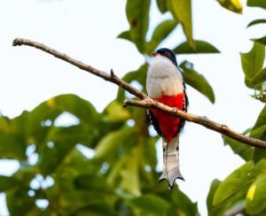 best place for birding