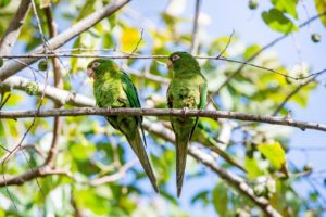 best place for birding