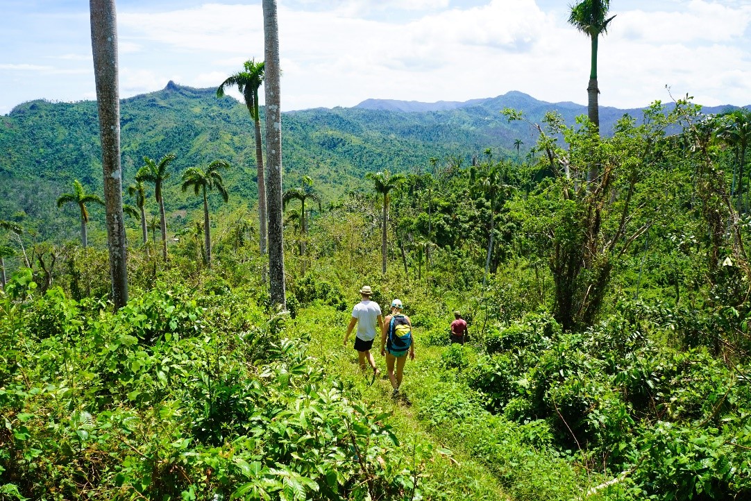 Best Hiking Trails in Cuba