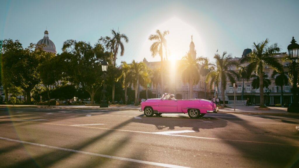 Winter Sun Destination