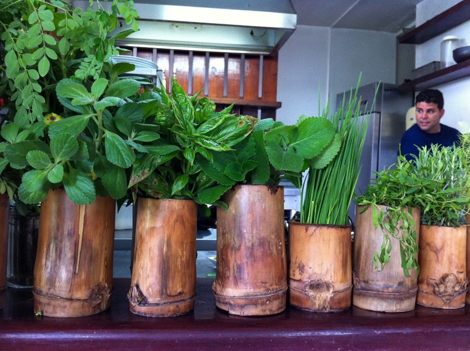 Vegetarian and vegan friendly restaurants in Cuba - El Romaero