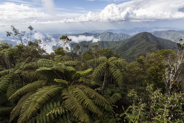 Things To Do in Gran Parque Nacional Pico Turquino - 4