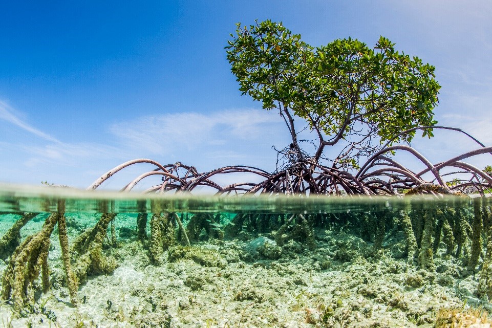 Desembarco del Granma National Park