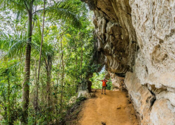 Topes de Collantes National Park in Cuba