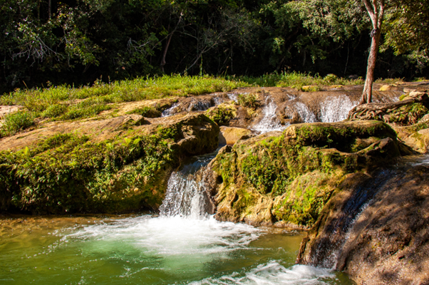 The Alexander von Humboldt National Park - 2
