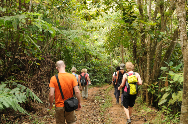 The Alexander von Humboldt National Park - 3