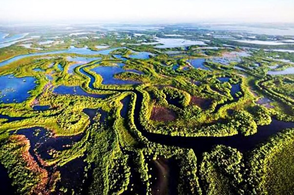 Wonders of Ciénaga de Zapata Biosphere Reserve - Exploring the Reserve