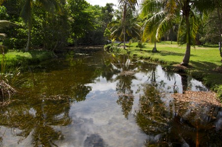 Wonders of Ciénaga de Zapata Biosphere Reserve - Preparing for Your Visit 