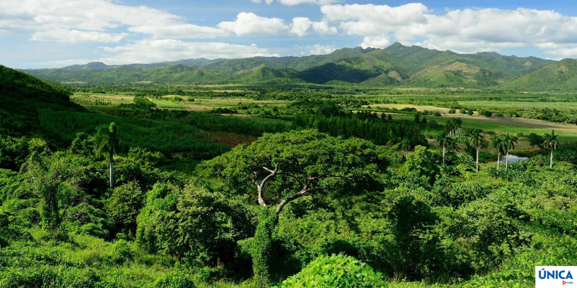 The Valley of the Sugar Mills