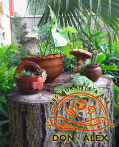 Best Restaurants in Varadero - Don Alex