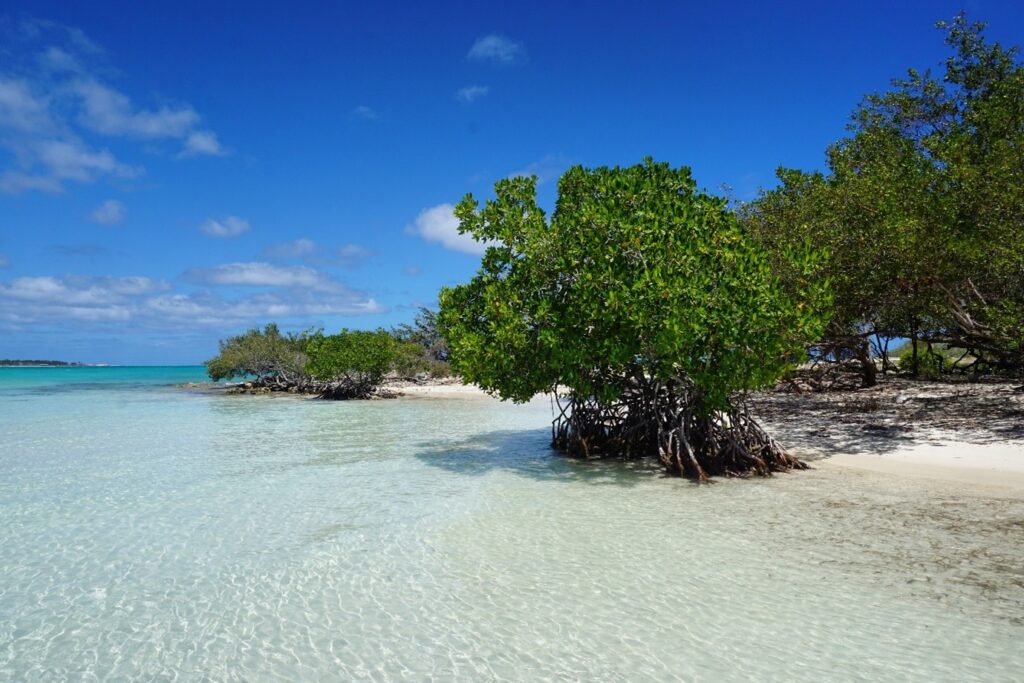 Cayo Guillermo - Jardines Del Rey, Cuba