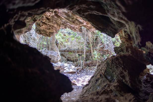 Varahicacos Ecological Reserve - Cueva de Ambrosio cave