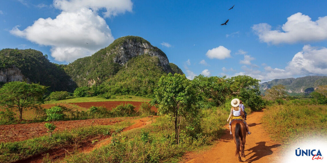 things to do in Cuba