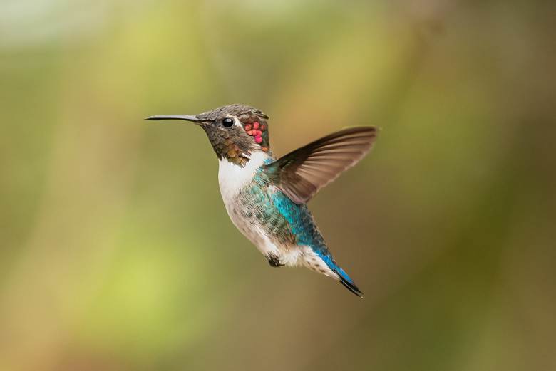 Zapata National Park - 2