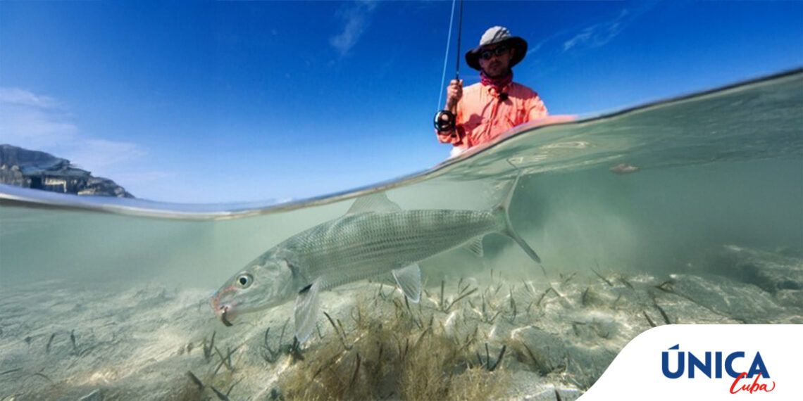 fishing in cuba