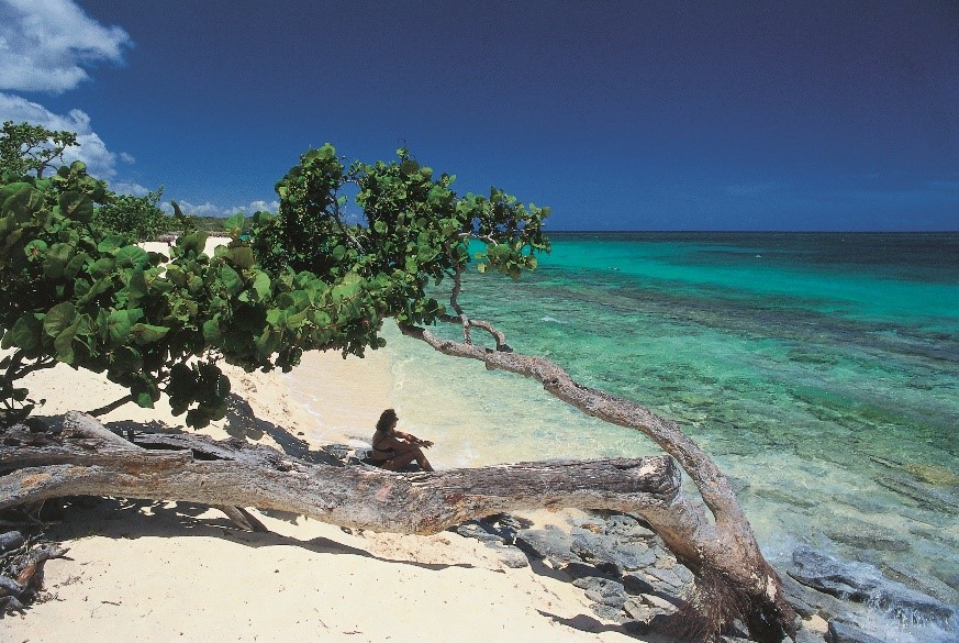 Playa Esmeralda Beach