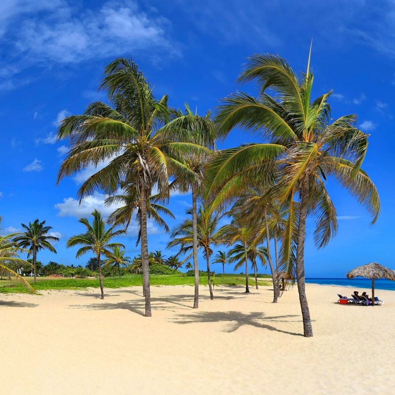 Playa Pesquero Beach