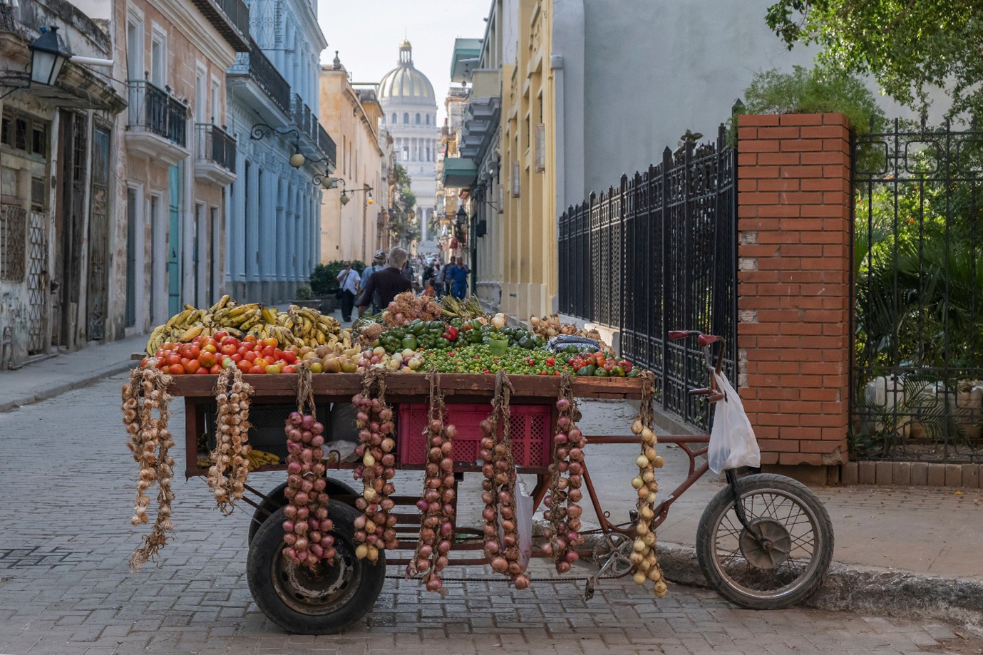 Is Cuba Vegan Friendly?